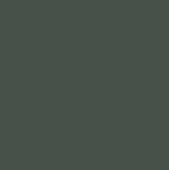 CC 9606 GRAY BILGE PAINT GAL.