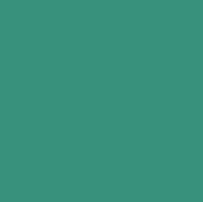 BOTTOM PAINT GREEN GAL