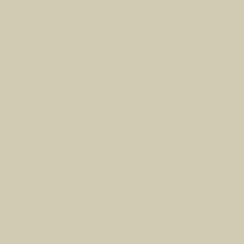 CAMO TAN QT