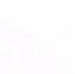 Bilge Paint 9604 White — Quart