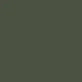 Camo Dull Dead Grass — 1 Gallon