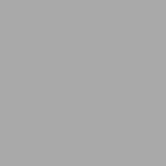 Camo Gray — Quart